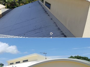 Roof and exterior cleaning
