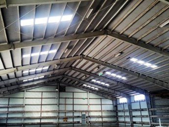 Commercial shed cleaning