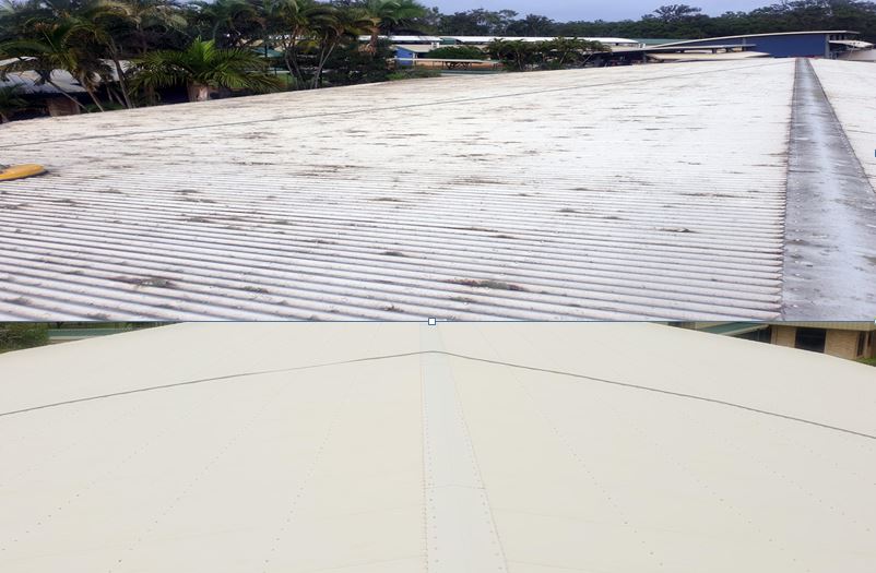 Roof cleaning at Shalom College