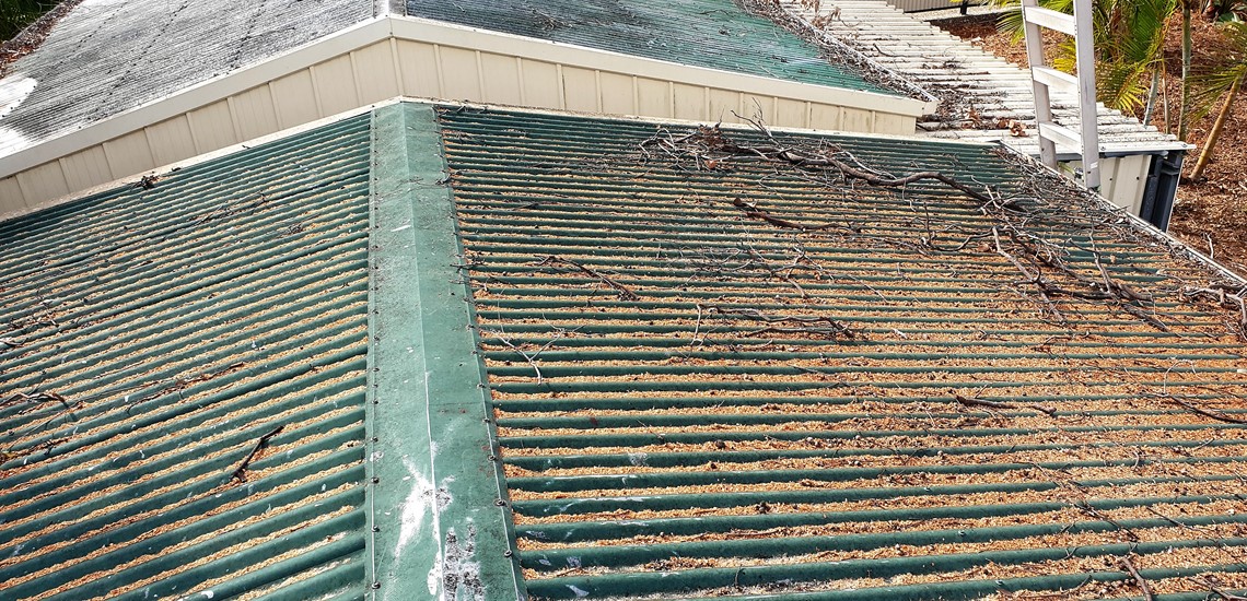 roof and gutter cleaning