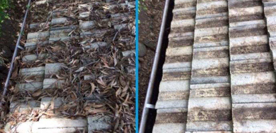 In need of a gutter clean