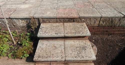 lichen needing removal for safety