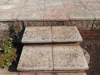 lichen needing removal for safety