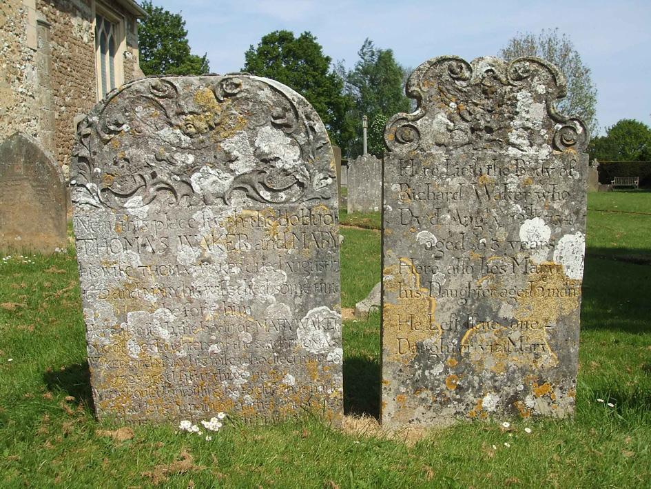 kill lichens on stone monuments read below