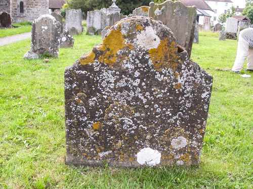 kill lichens on stone monuments read below